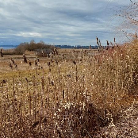 Marxhof Seebruck Am Chiemsee ゼーオン・ゼーブルック エクステリア 写真